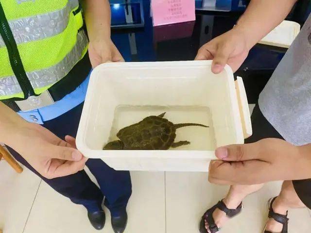 地方新闻 第47页