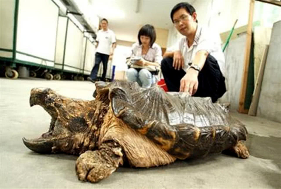 地方新闻 第43页
