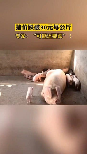 港澳新闻 第33页